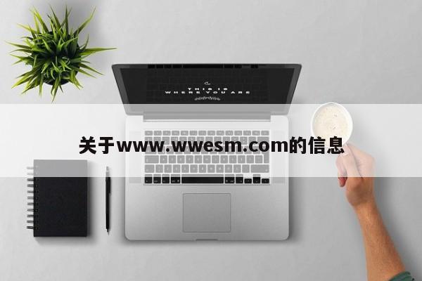 关于www.wwesm.com的信息